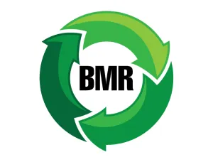 BMR